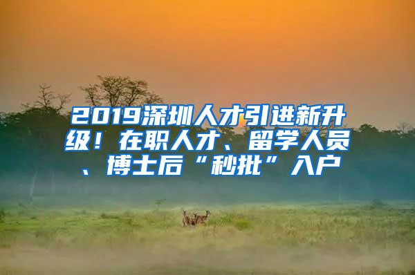 2019深圳人才引进新升级！在职人才、留学人员、博士后“秒批”入户