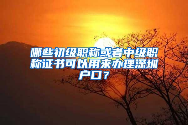 哪些初级职称或者中级职称证书可以用来办理深圳户口？