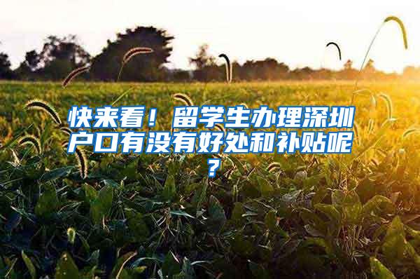 快来看！留学生办理深圳户口有没有好处和补贴呢？