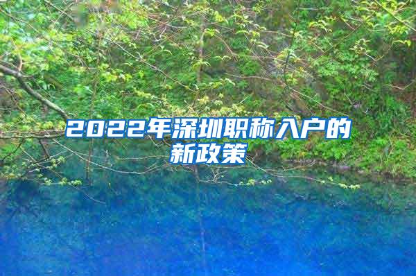 2022年深圳职称入户的新政策