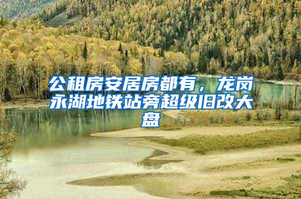 公租房安居房都有，龙岗永湖地铁站旁超级旧改大盘