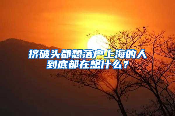 挤破头都想落户上海的人到底都在想什么？