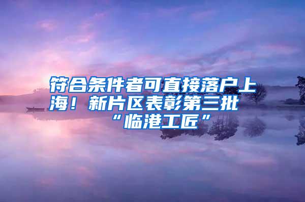 符合条件者可直接落户上海！新片区表彰第三批“临港工匠”