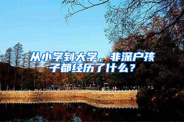 从小学到大学，非深户孩子都经历了什么？