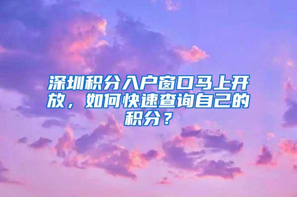 深圳积分入户窗口马上开放，如何快速查询自己的积分？