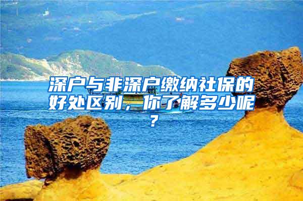 深户与非深户缴纳社保的好处区别，你了解多少呢？