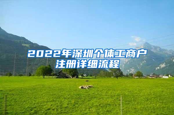 2022年深圳个体工商户注册详细流程