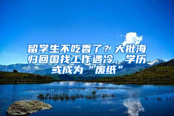 留学生不吃香了？大批海归回国找工作遇冷，学历或成为“废纸”