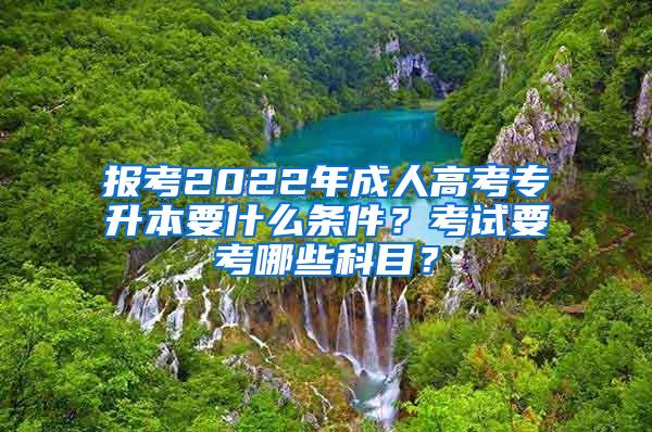 报考2022年成人高考专升本要什么条件？考试要考哪些科目？