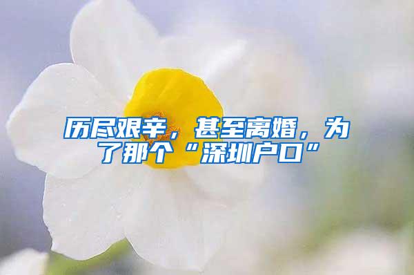 历尽艰辛，甚至离婚，为了那个“深圳户口”