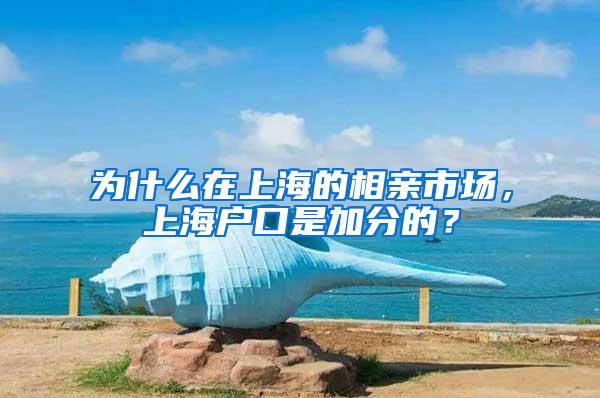 为什么在上海的相亲市场，上海户口是加分的？