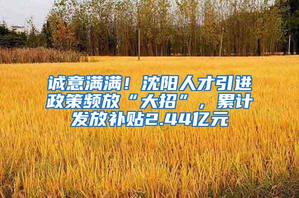 诚意满满！沈阳人才引进政策频放“大招”，累计发放补贴2.44亿元