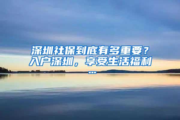 深圳社保到底有多重要？入户深圳，享受生活福利…