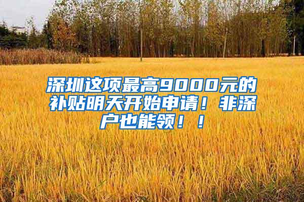 深圳这项最高9000元的补贴明天开始申请！非深户也能领！！