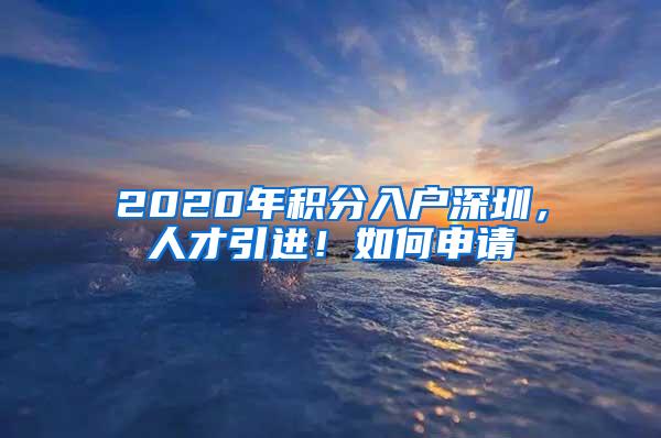 2020年积分入户深圳，人才引进！如何申请