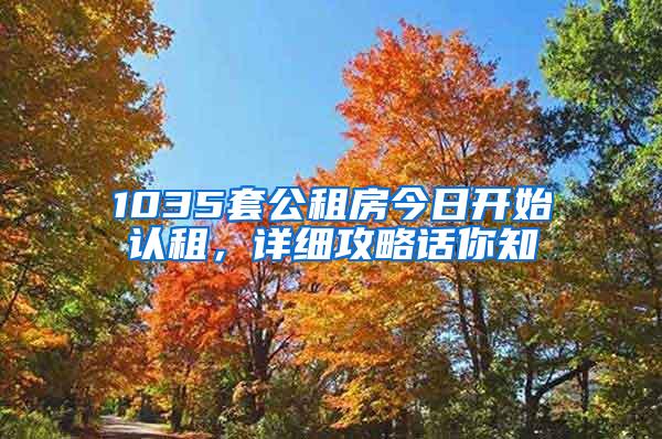 1035套公租房今日开始认租，详细攻略话你知