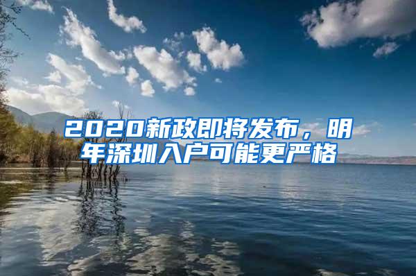 2020新政即将发布，明年深圳入户可能更严格