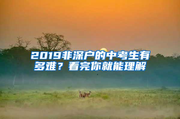 2019非深户的中考生有多难？看完你就能理解