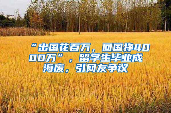 “出国花百万，回国挣4000万”，留学生毕业成海废，引网友争议