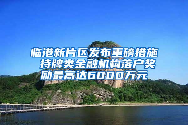 临港新片区发布重磅措施 持牌类金融机构落户奖励最高达6000万元