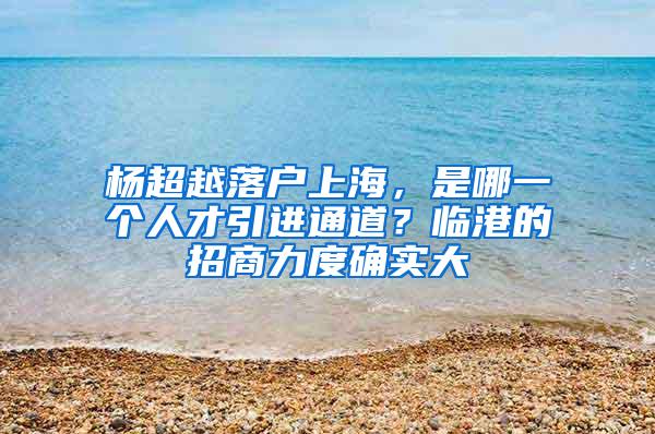 杨超越落户上海，是哪一个人才引进通道？临港的招商力度确实大