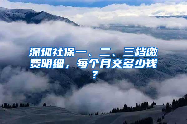 深圳社保一、二、三档缴费明细，每个月交多少钱？