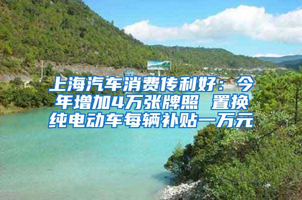 上海汽车消费传利好：今年增加4万张牌照 置换纯电动车每辆补贴一万元