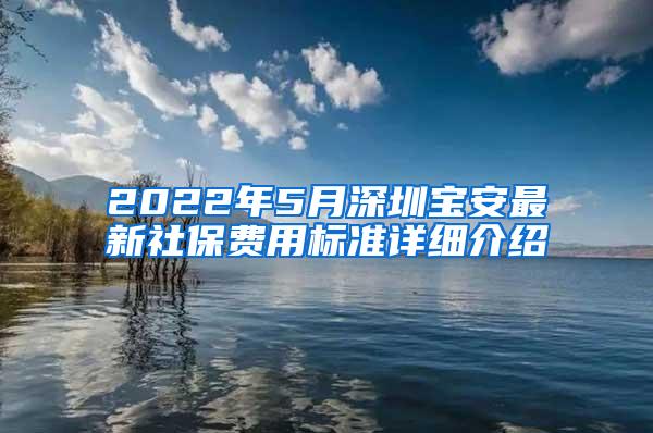 2022年5月深圳宝安最新社保费用标准详细介绍