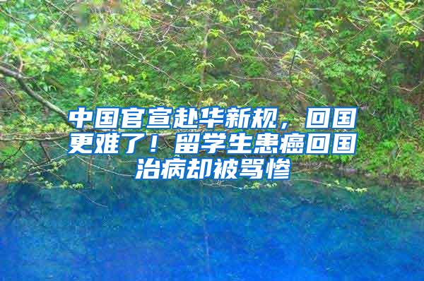 中国官宣赴华新规，回国更难了！留学生患癌回国治病却被骂惨