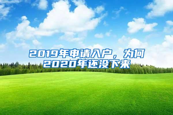 2019年申请入户，为何2020年还没下来