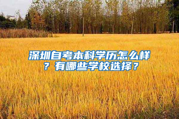 深圳自考本科学历怎么样？有哪些学校选择？