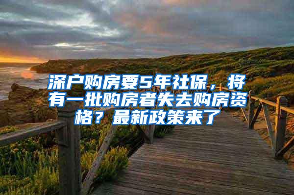 深户购房要5年社保，将有一批购房者失去购房资格？最新政策来了