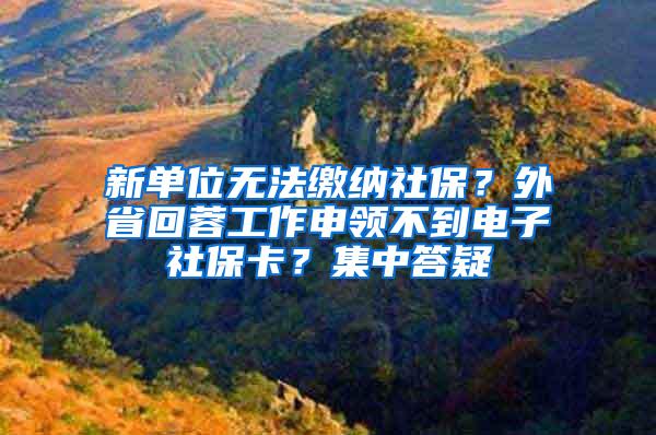 新单位无法缴纳社保？外省回蓉工作申领不到电子社保卡？集中答疑