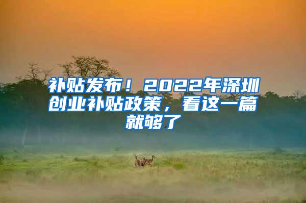 补贴发布！2022年深圳创业补贴政策，看这一篇就够了