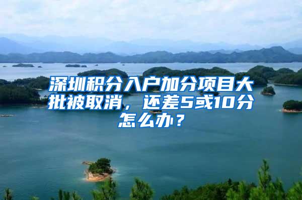 深圳积分入户加分项目大批被取消，还差5或10分怎么办？