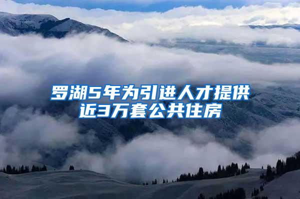 罗湖5年为引进人才提供近3万套公共住房