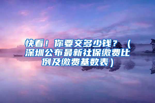 快看！你要交多少钱？（深圳公布最新社保缴费比例及缴费基数表）