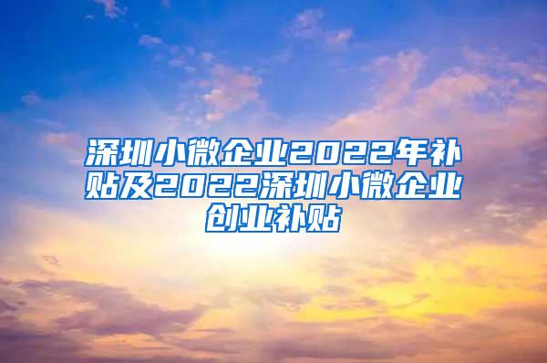 深圳小微企业2022年补贴及2022深圳小微企业创业补贴