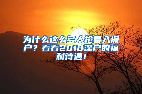 为什么这么多人抢着入深户？看看2018深户的福利待遇！