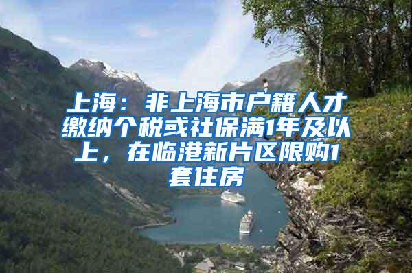 上海：非上海市户籍人才缴纳个税或社保满1年及以上，在临港新片区限购1套住房