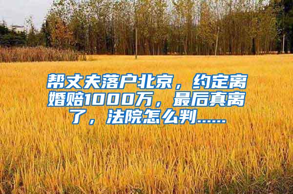 帮丈夫落户北京，约定离婚赔1000万，最后真离了，法院怎么判......