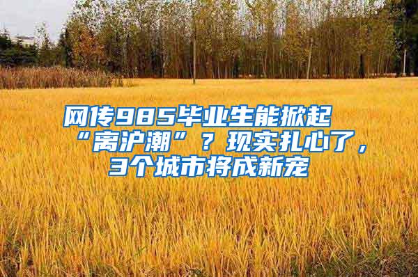 网传985毕业生能掀起“离沪潮”？现实扎心了，3个城市将成新宠