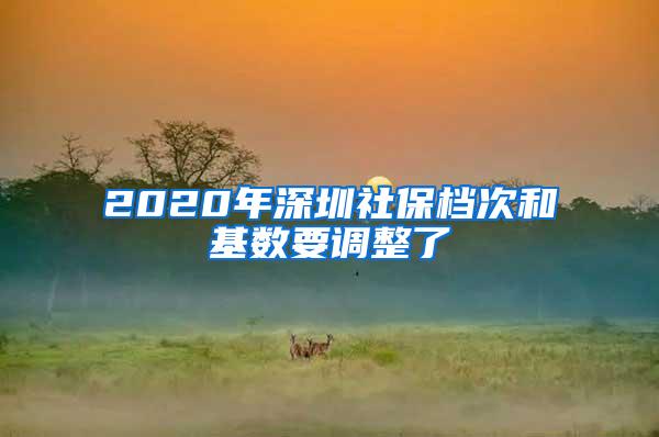 2020年深圳社保档次和基数要调整了