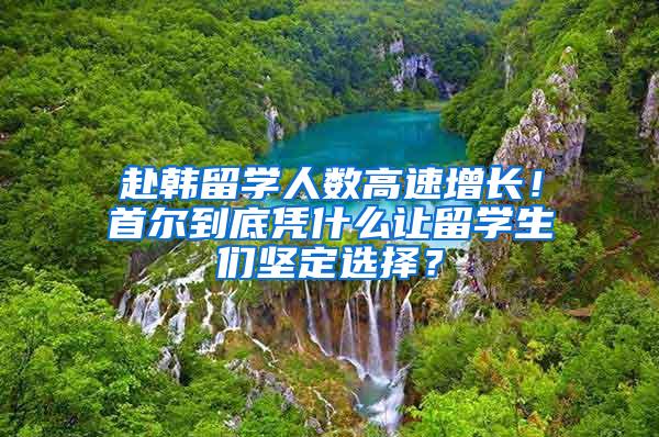 赴韩留学人数高速增长！首尔到底凭什么让留学生们坚定选择？