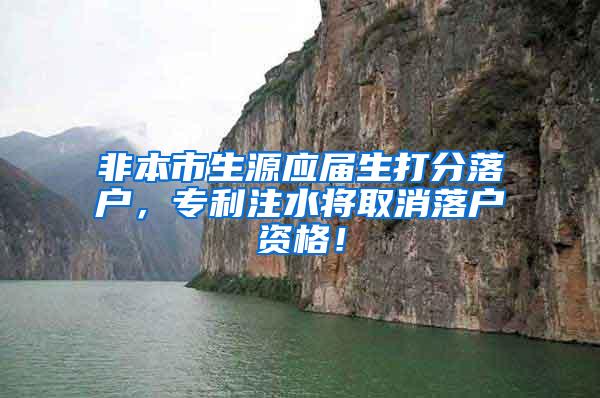 非本市生源应届生打分落户，专利注水将取消落户资格！