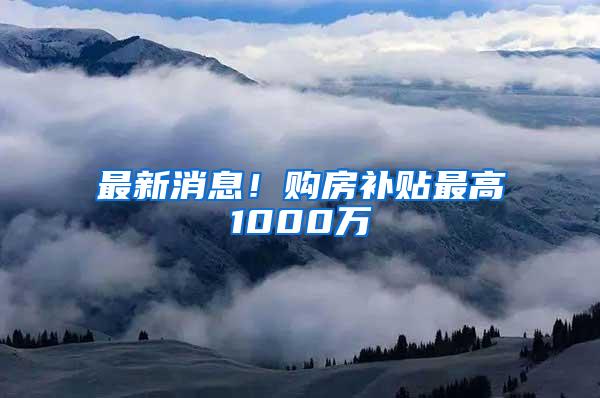 最新消息！购房补贴最高1000万