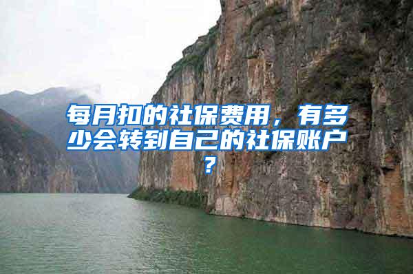 每月扣的社保费用，有多少会转到自己的社保账户？