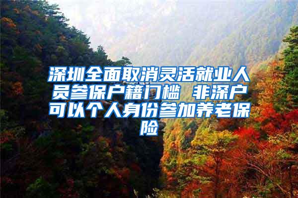 深圳全面取消灵活就业人员参保户籍门槛 非深户可以个人身份参加养老保险