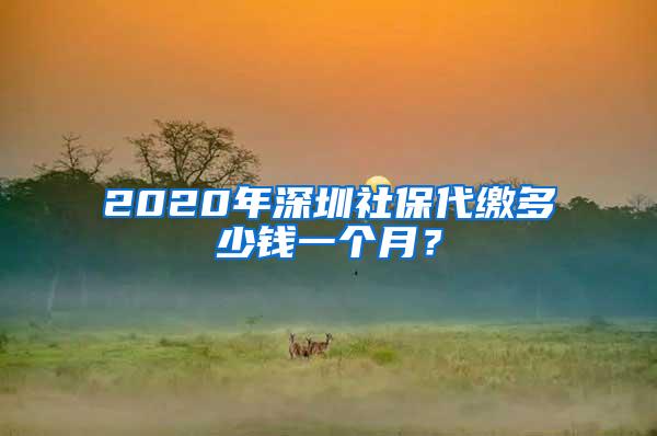 2020年深圳社保代缴多少钱一个月？