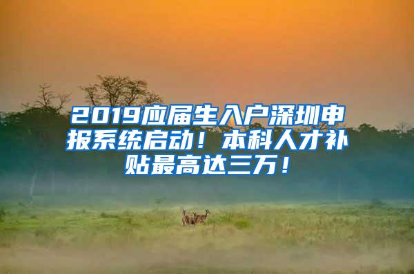 2019应届生入户深圳申报系统启动！本科人才补贴最高达三万！